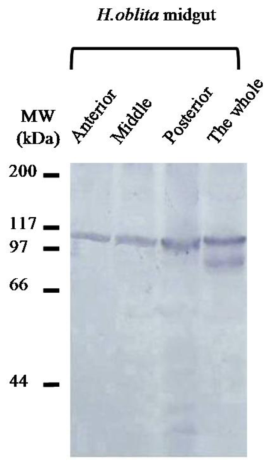 Ijms 15 06831f3