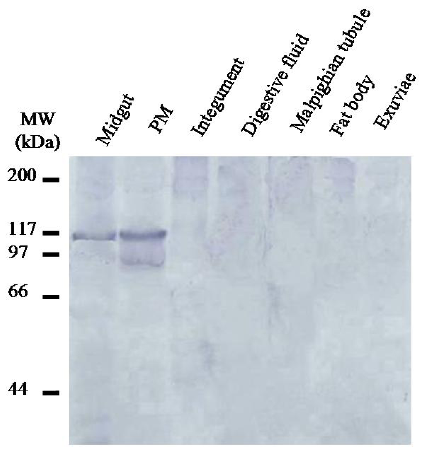 Ijms 15 06831f5