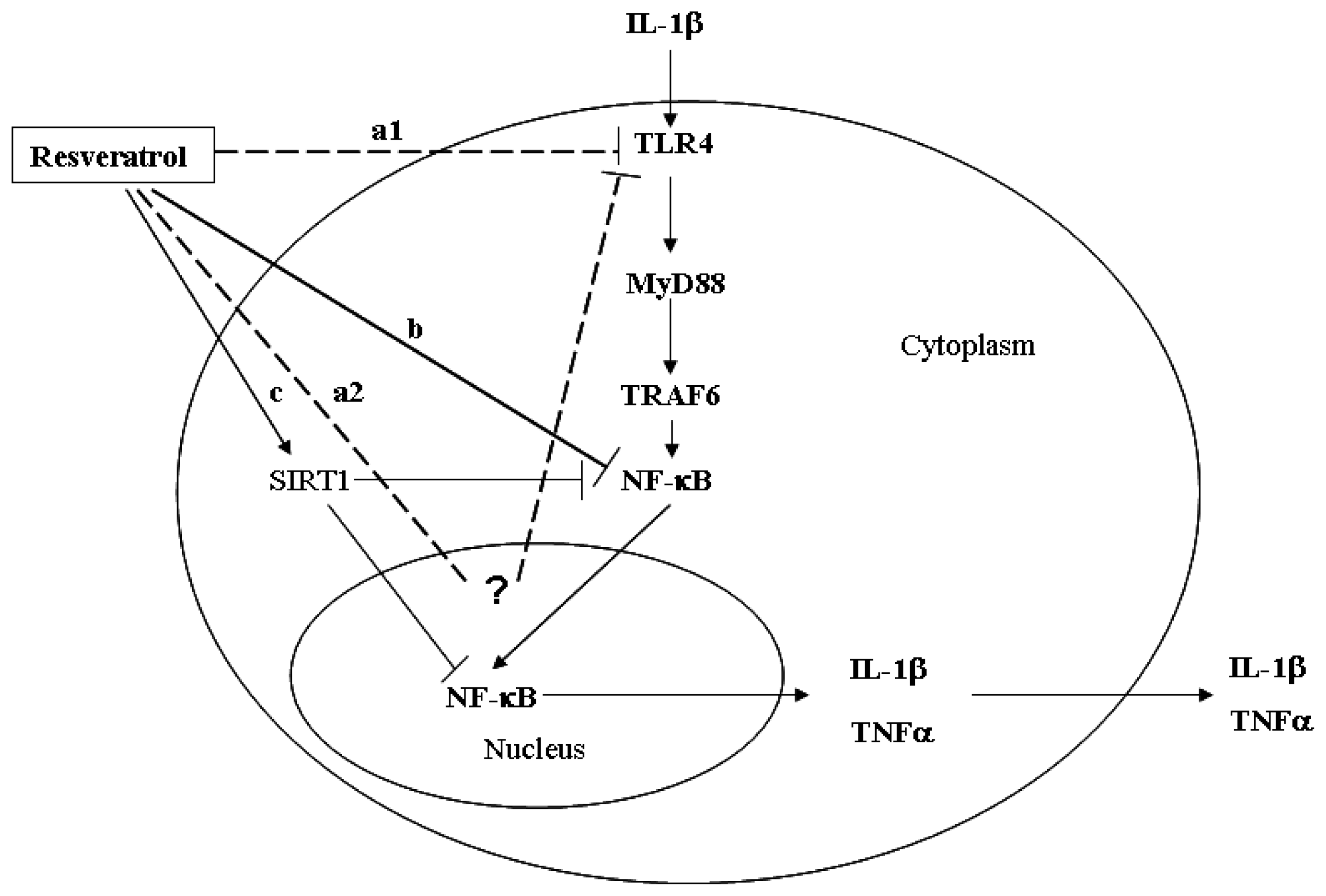 Ijms 15 06925f6