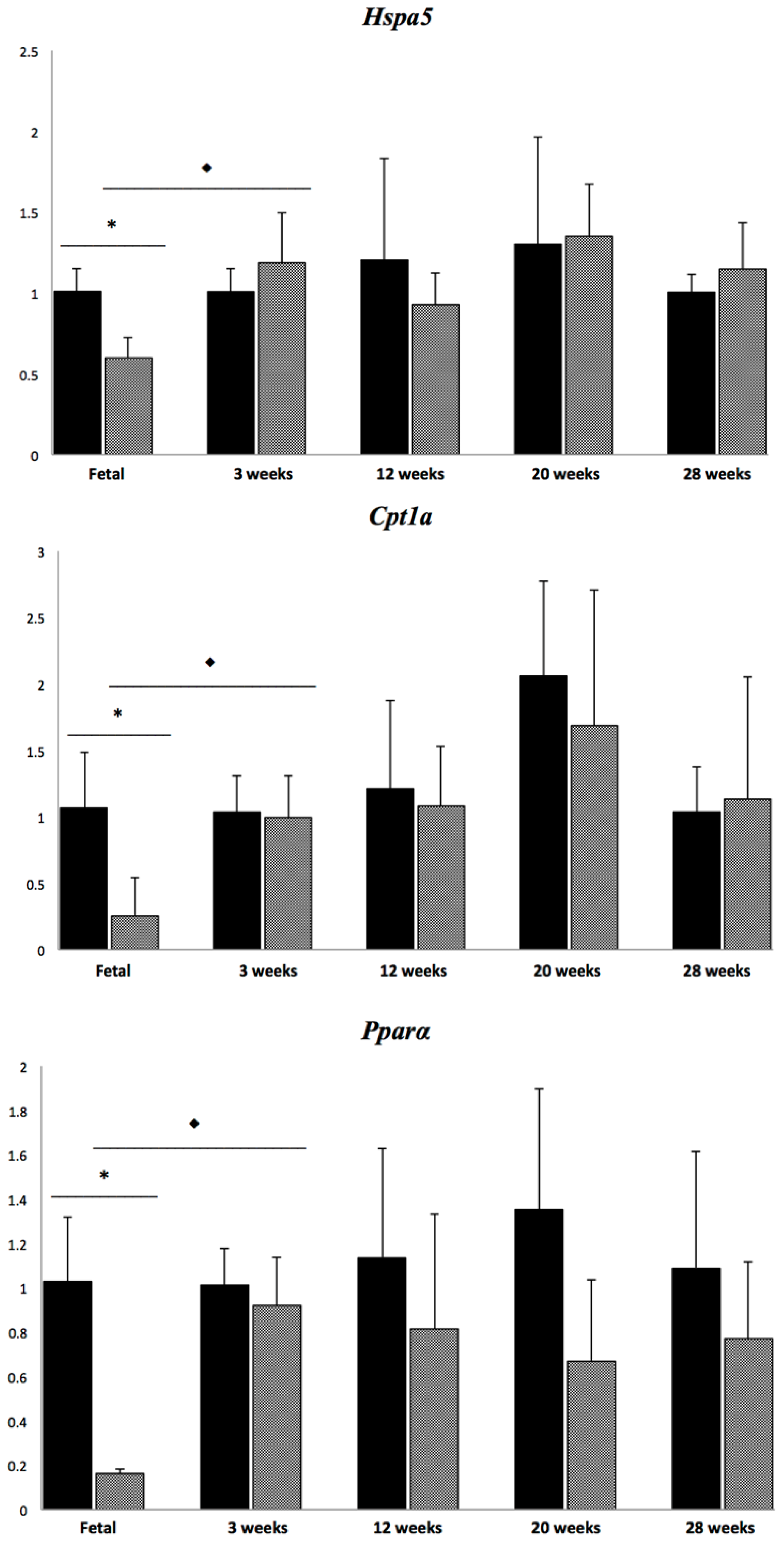 Ijms 15 08004f4b