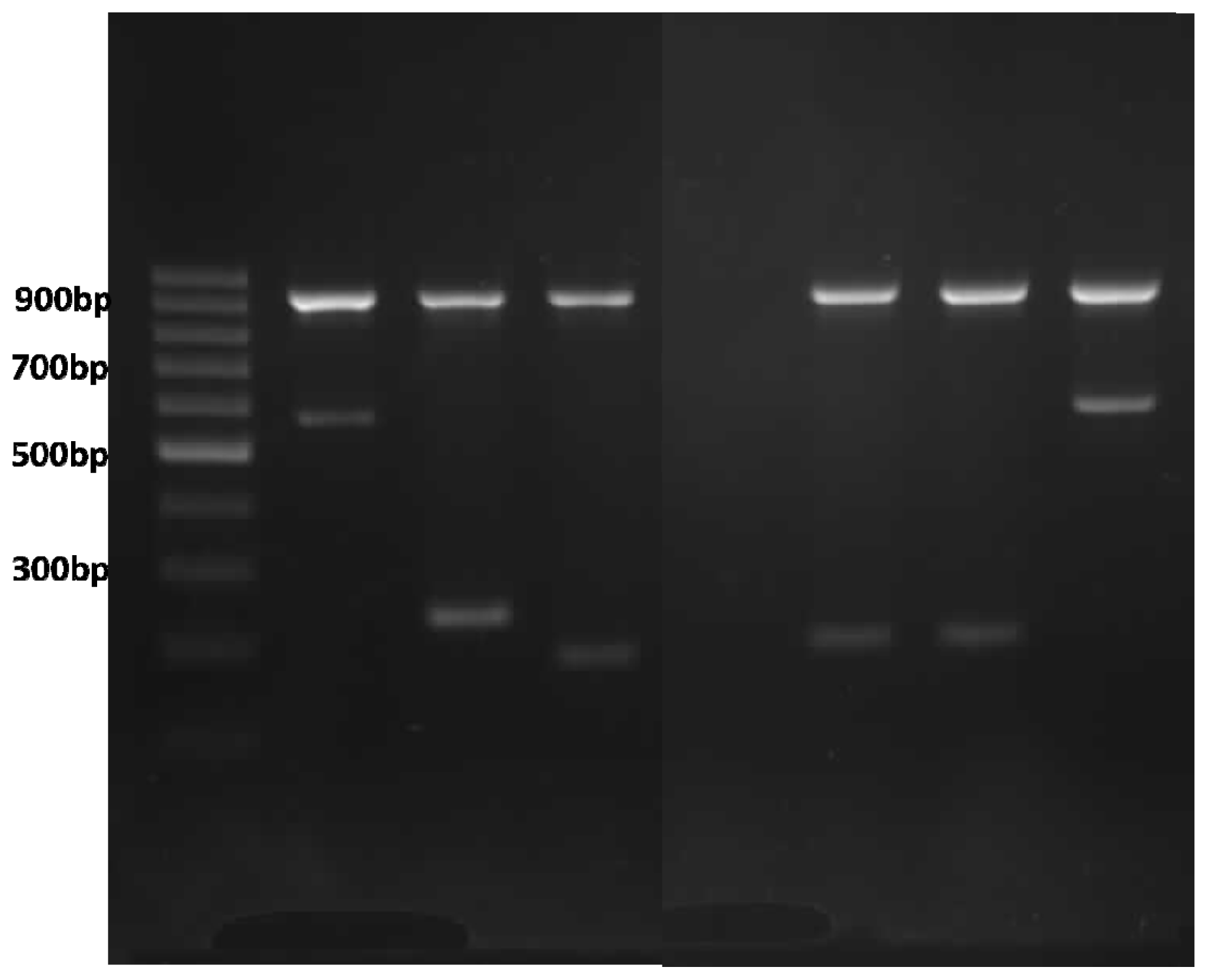 Ijms 15 08835f2