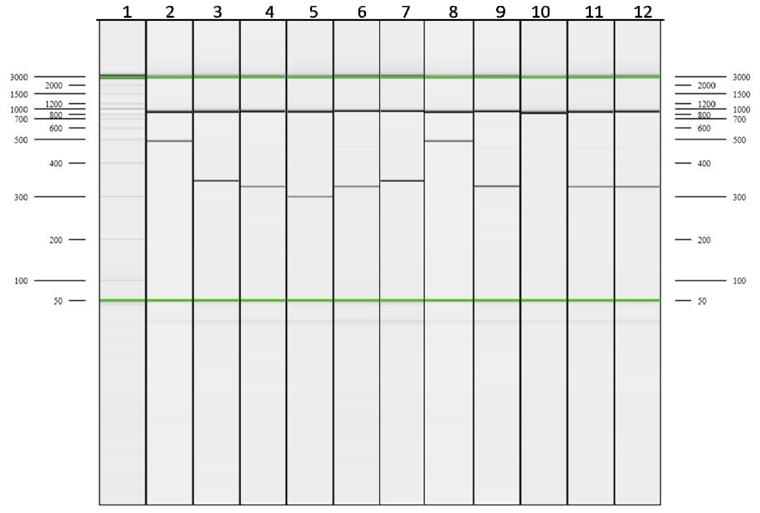 Ijms 15 08835f3