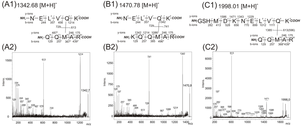 Ijms 15 09224 g003 1024