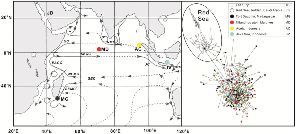 Ijms 15 09242 g001 1024