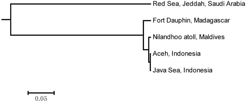 Ijms 15 09242 g002 1024