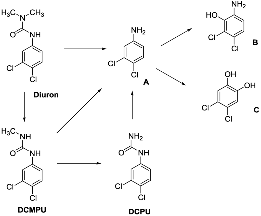 Ijms 15 09255 g001 1024