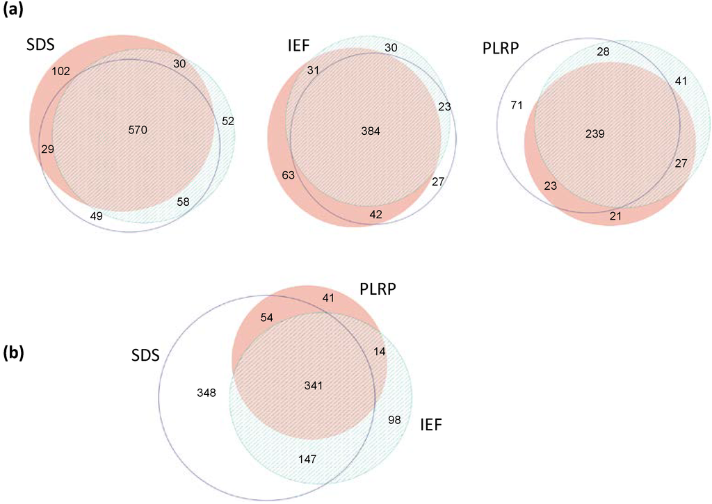 Ijms 15 09285 g002 1024