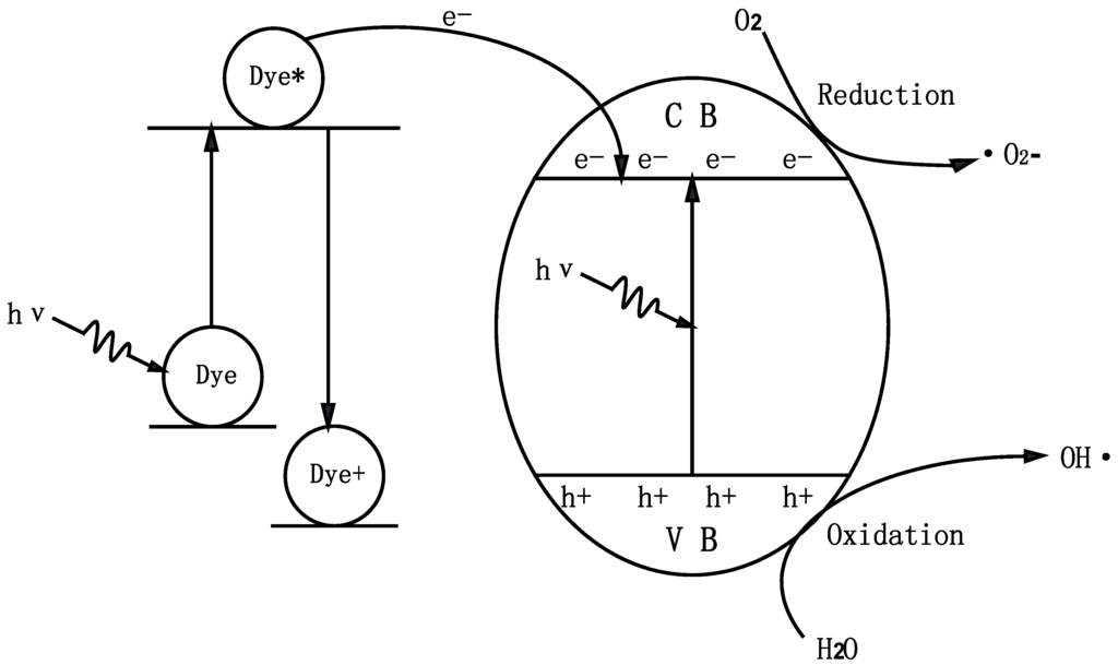 Ijms 15 09459 g016 1024