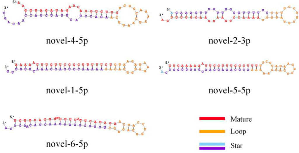 Ijms 15 09531 g001 1024