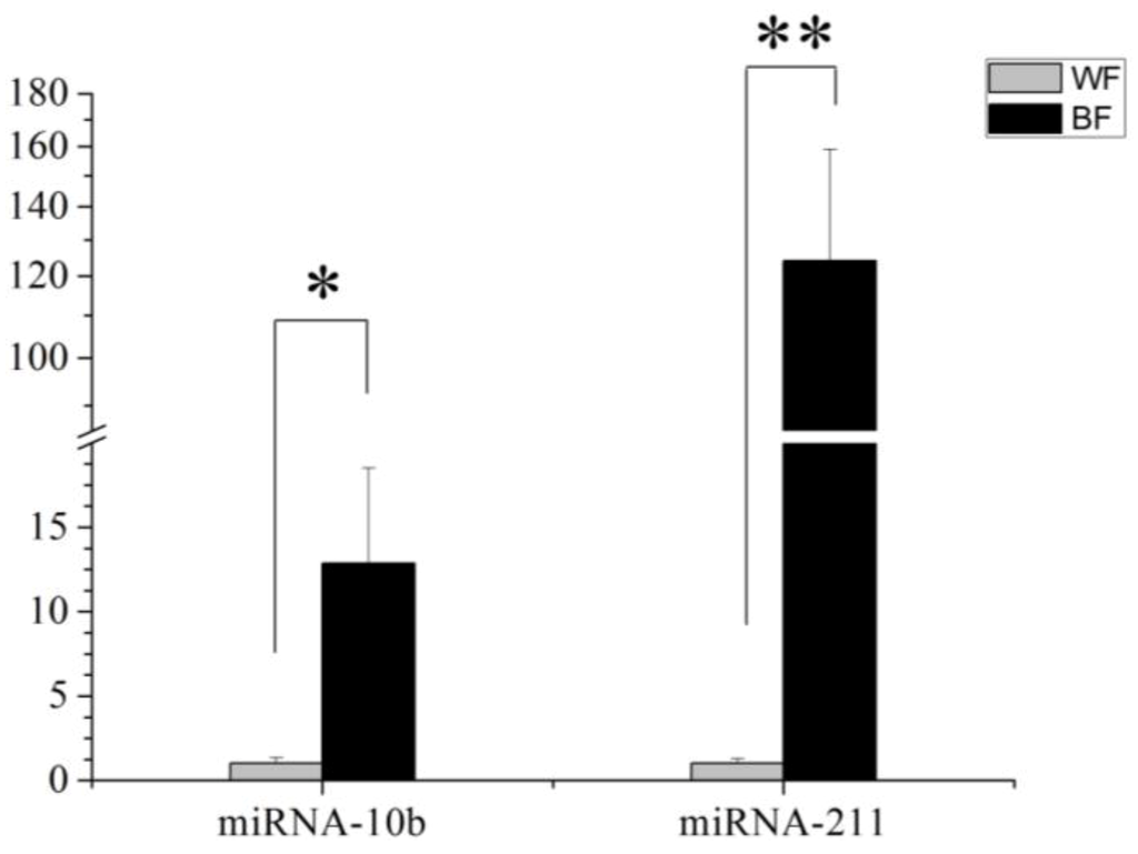 Ijms 15 09531 g005 1024