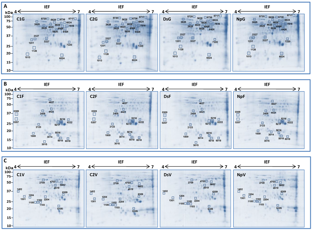 Ijms 15 09644 g003 1024