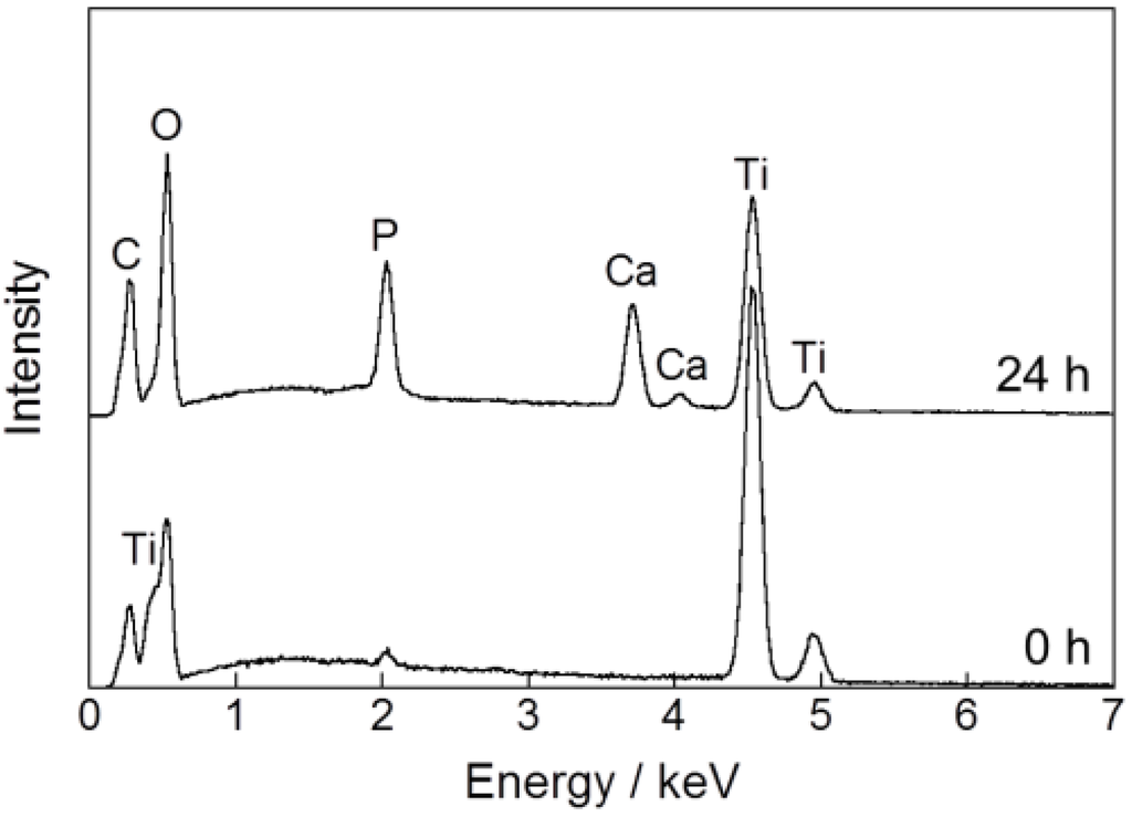 Ijms 15 09789 g002 1024