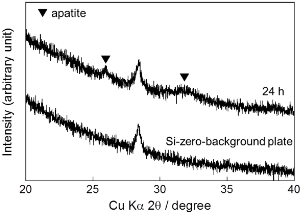 Ijms 15 09789 g003 1024