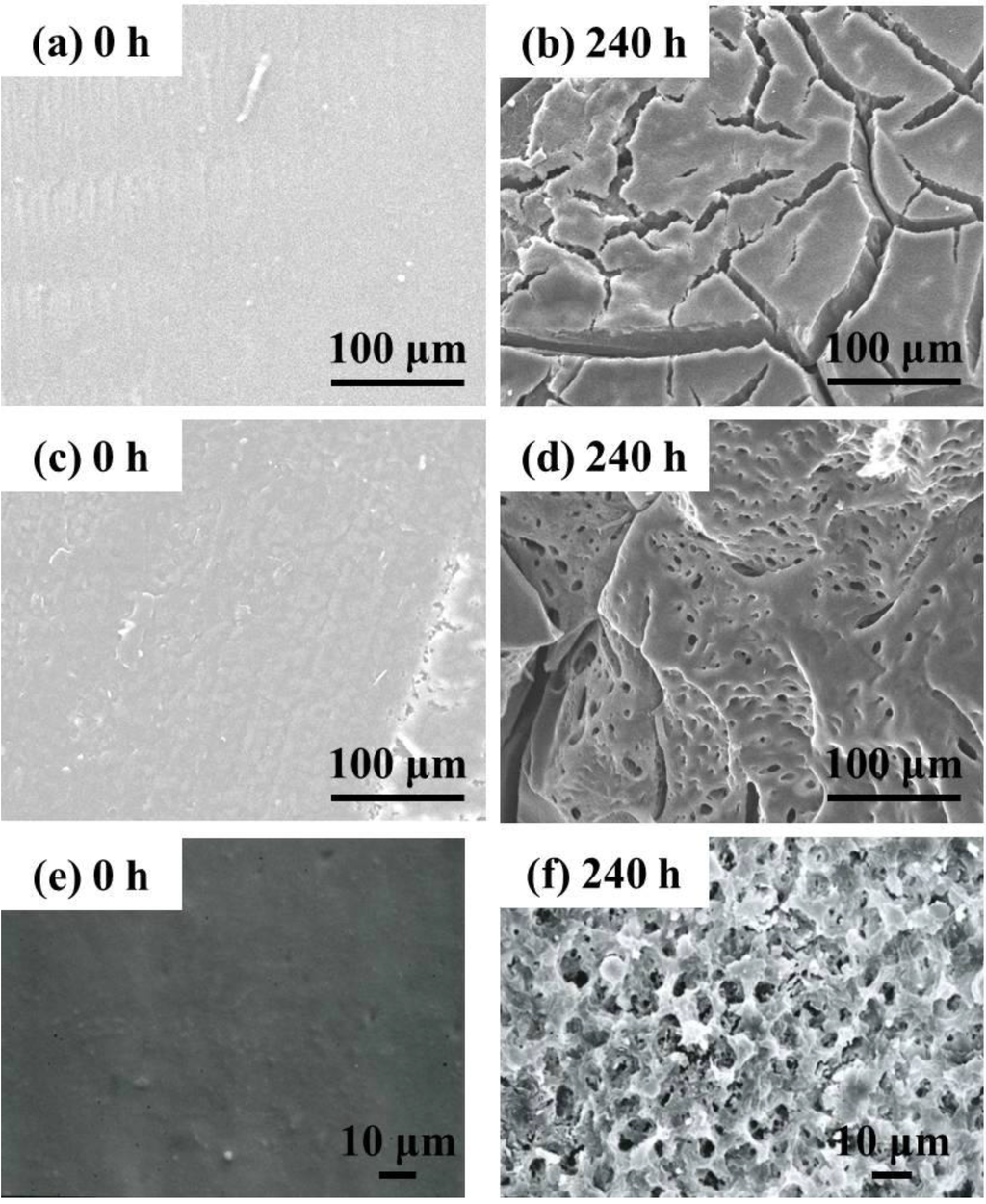 Ijms 15 09793 g011 1024