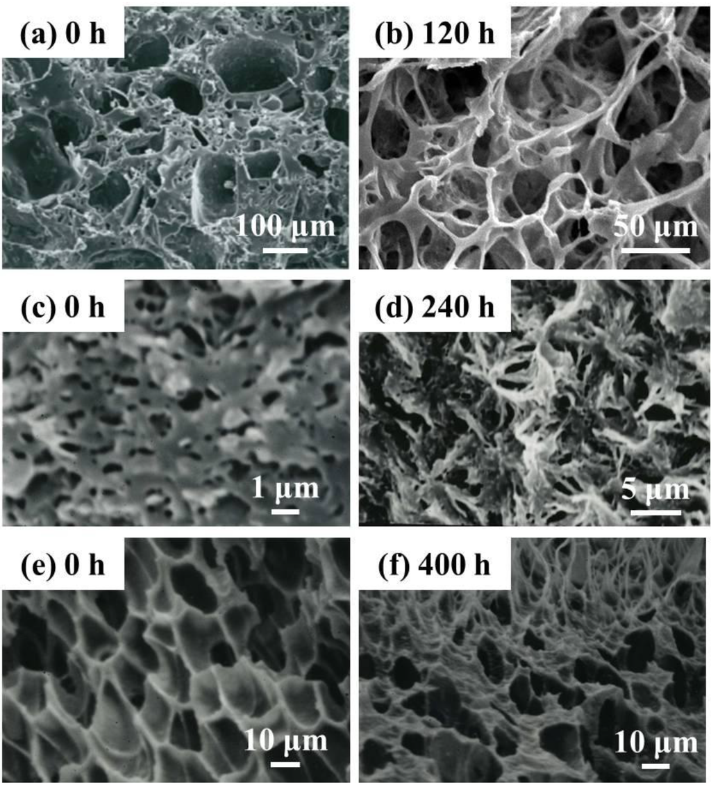 Ijms 15 09793 g012 1024