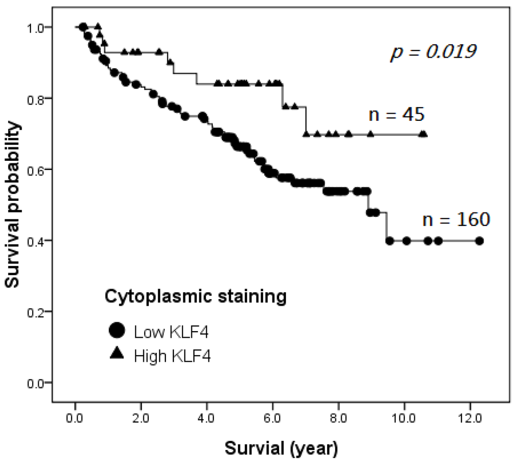 Ijms 15 09894 g002 1024