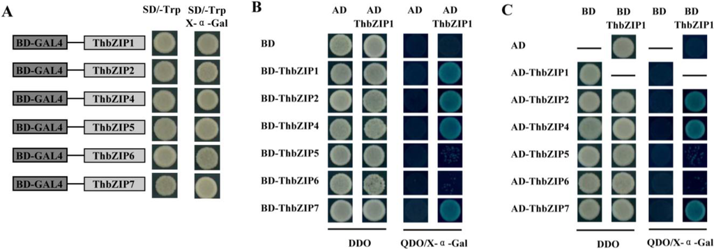 Ijms 15 10005 g001 1024