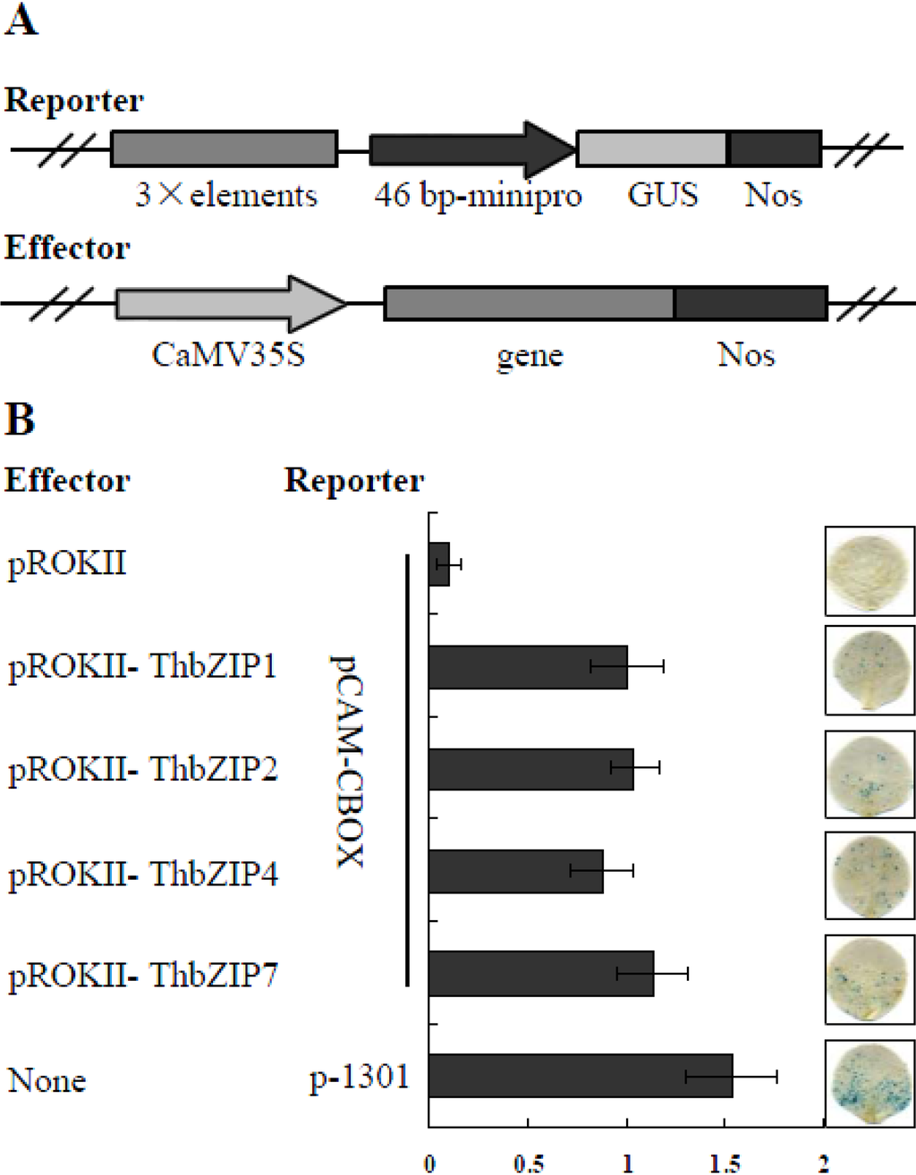 Ijms 15 10005 g002 1024