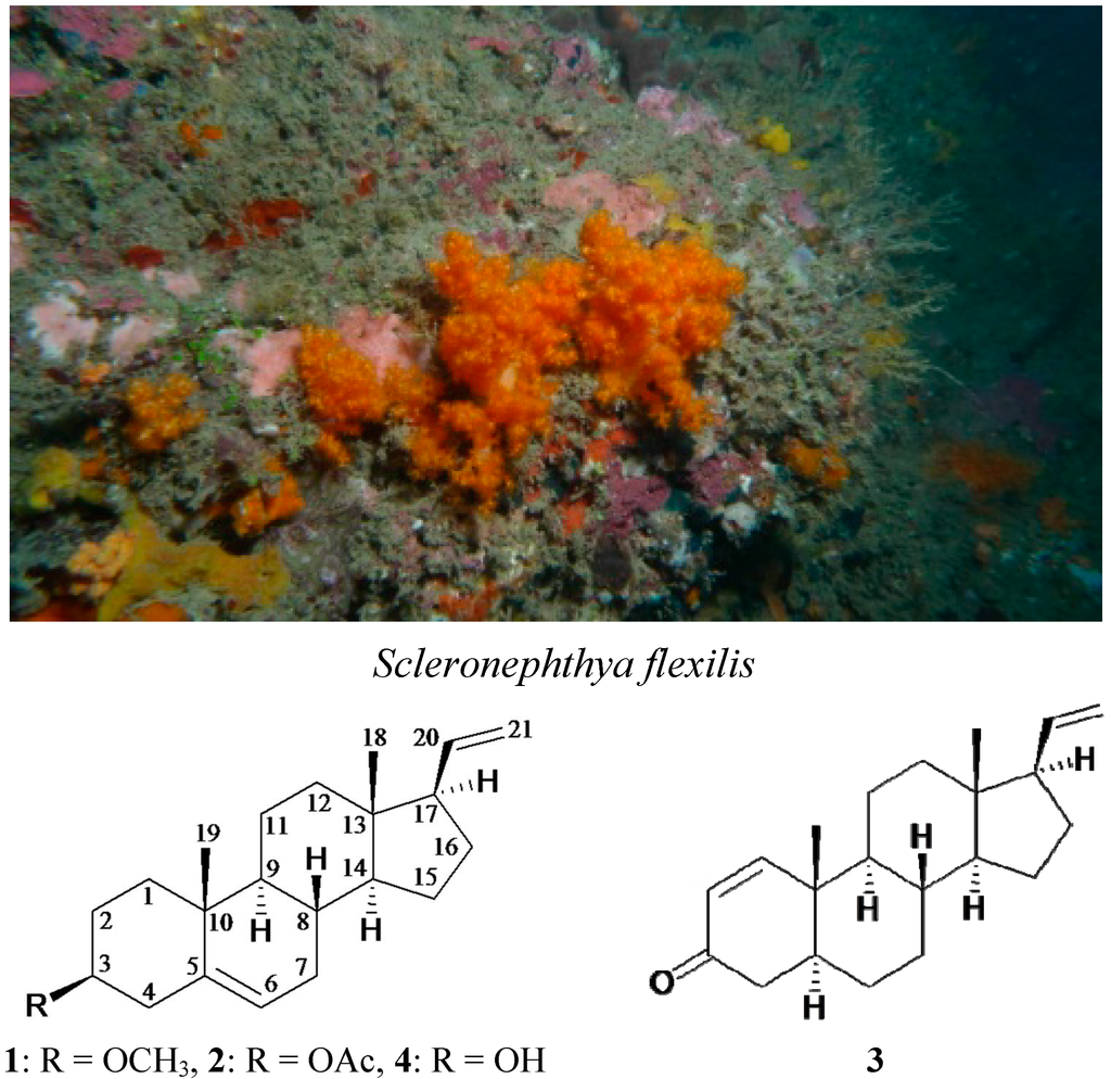 Ijms 15 10136 g005 1024