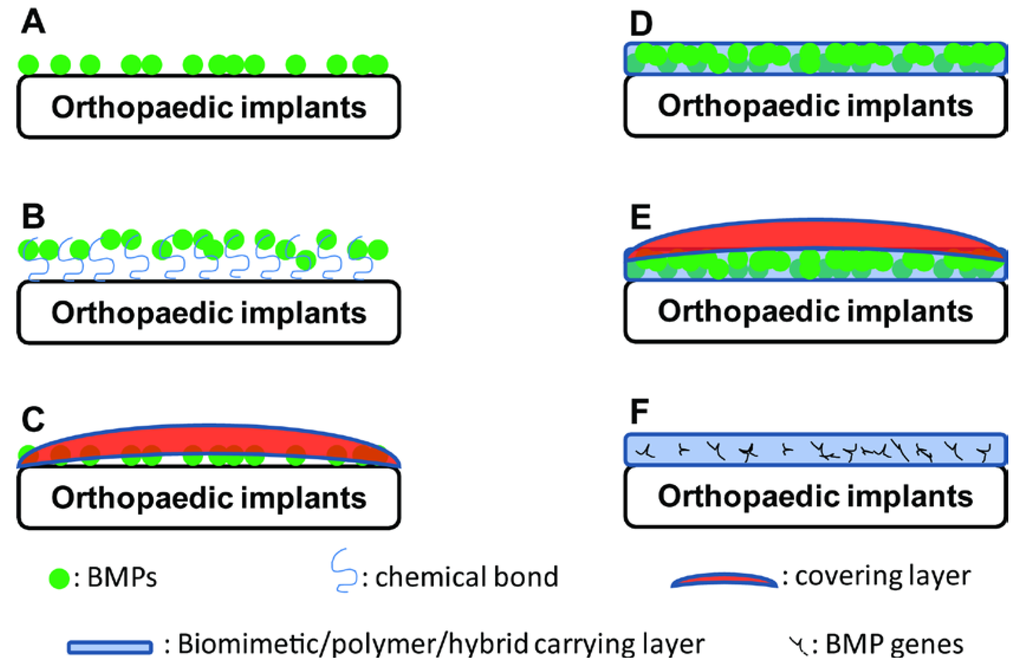 Ijms 15 10150 g002 1024