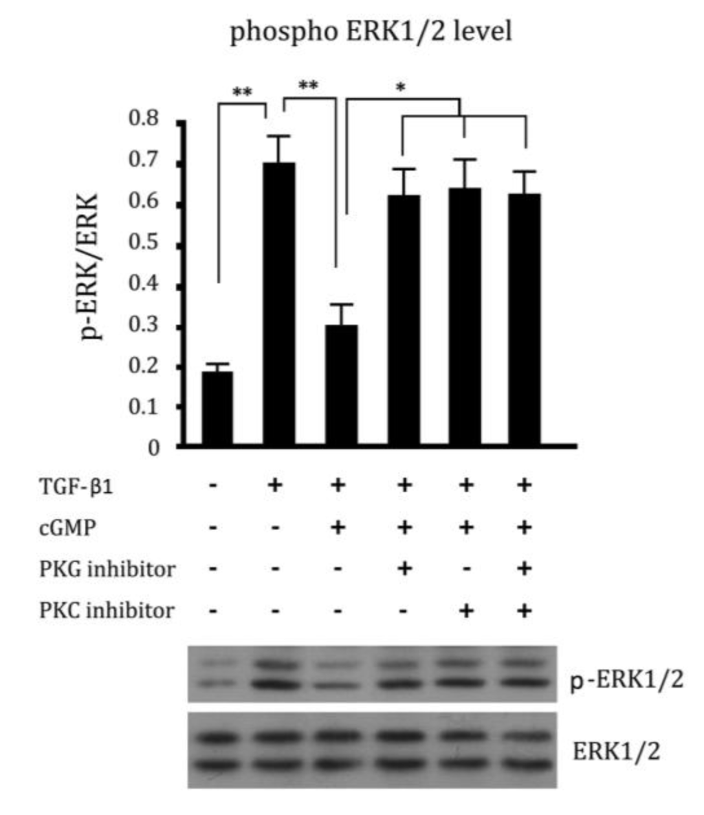 Ijms 15 10185 g005 1024