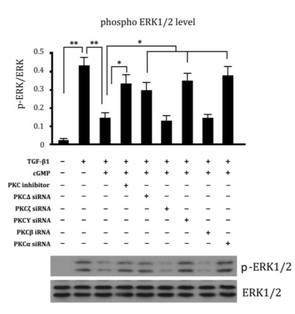Ijms 15 10185 g006 1024