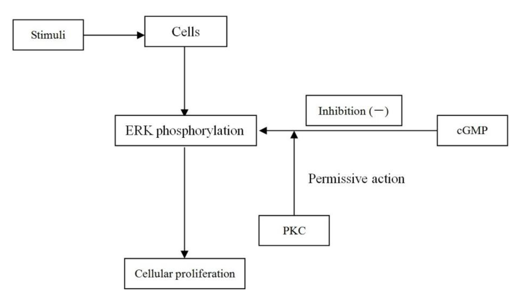 Ijms 15 10185 g008 1024