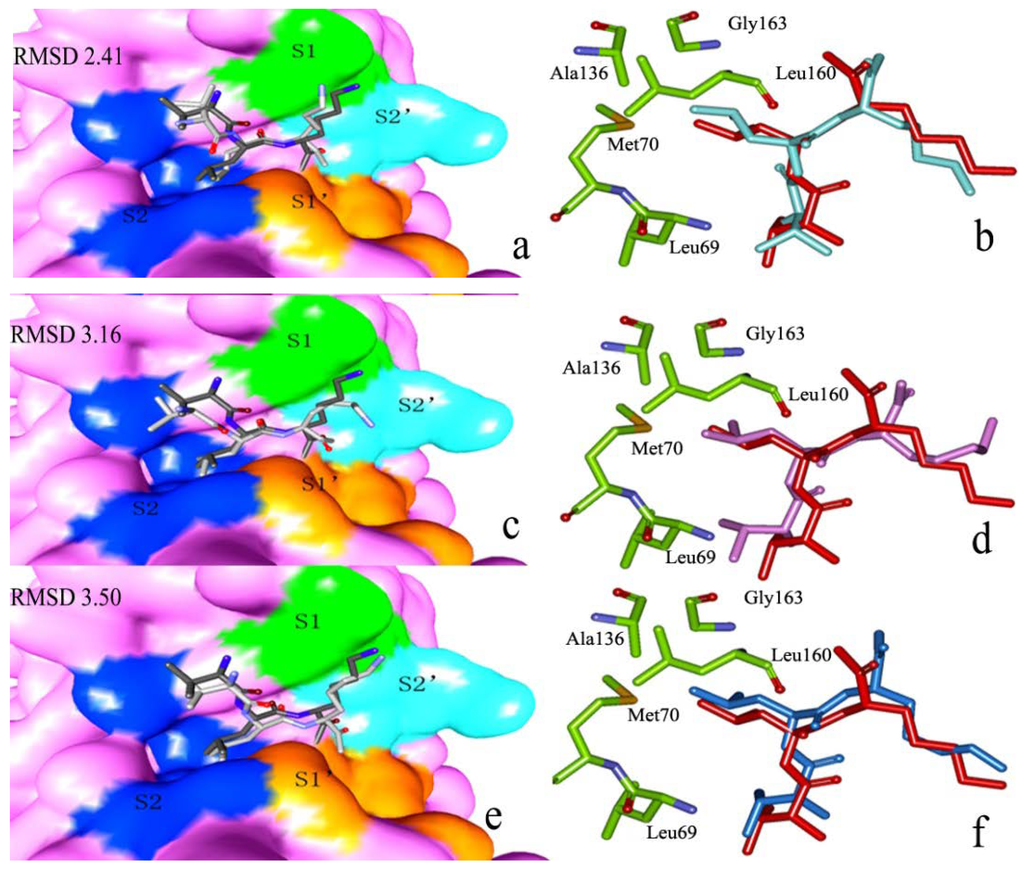 Ijms 15 10459 g005 1024