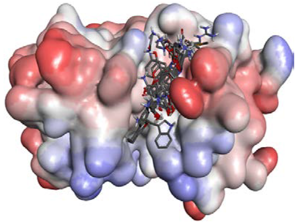 Ijms 15 10459 g006 1024