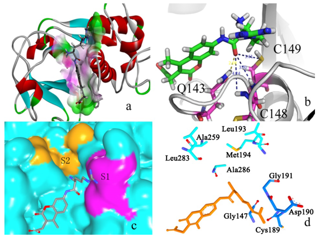 Ijms 15 10459 g007 1024