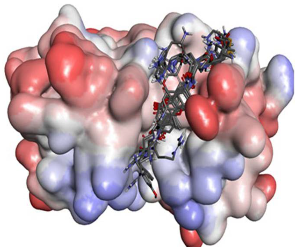 Ijms 15 10459 g008 1024