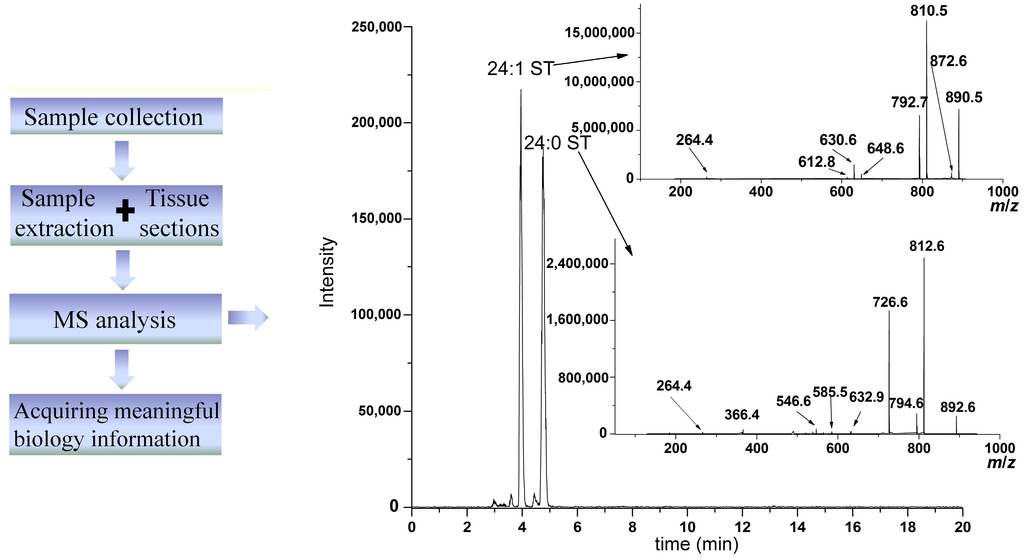 Ijms 15 10492 g001 1024