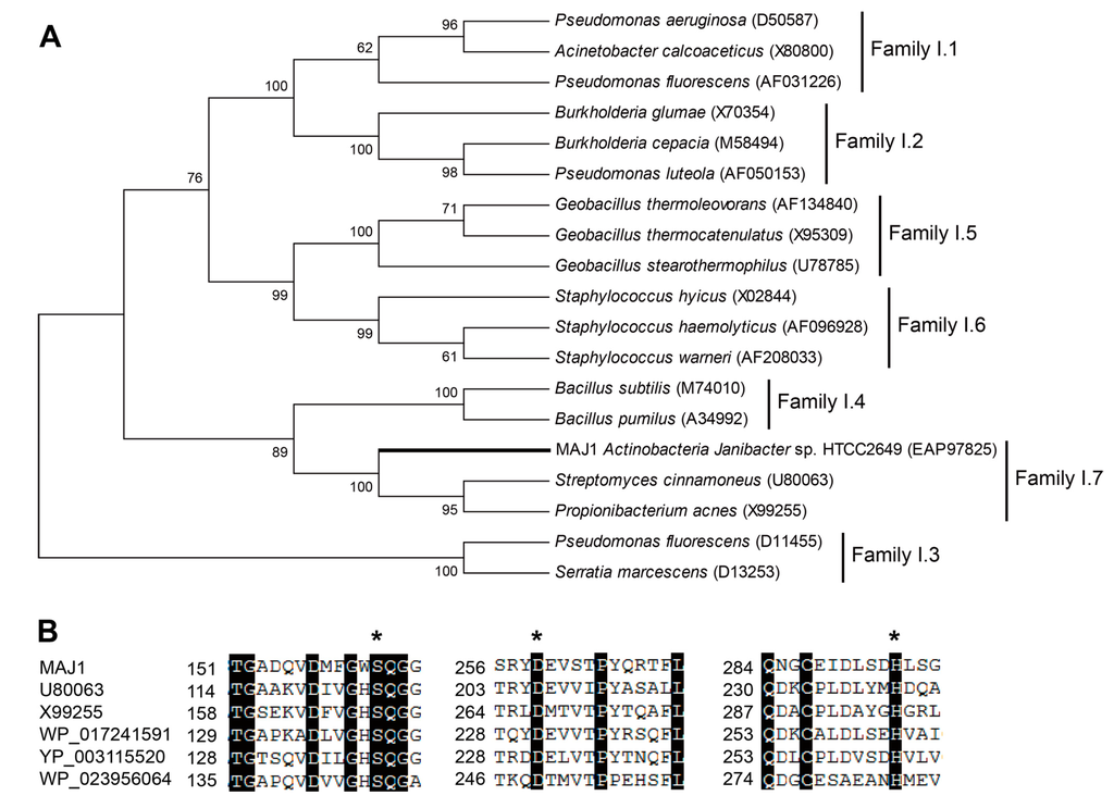 Ijms 15 10554 g001 1024