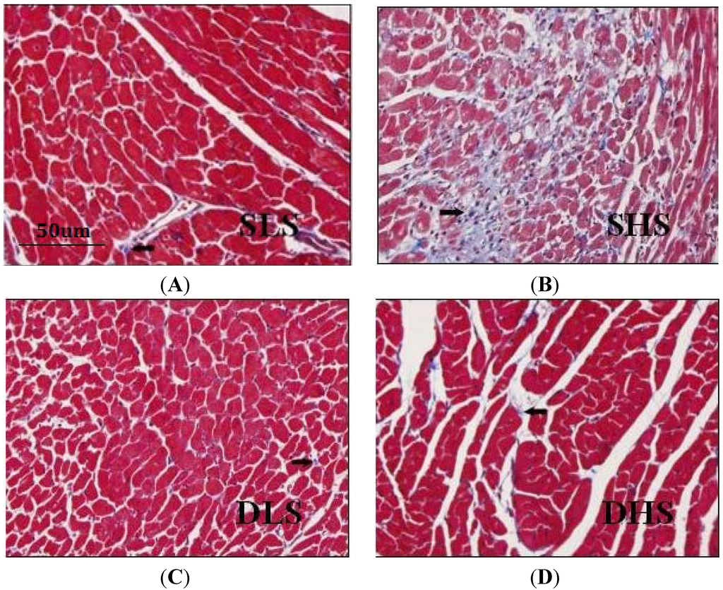 Ijms 15 10794 g002 1024