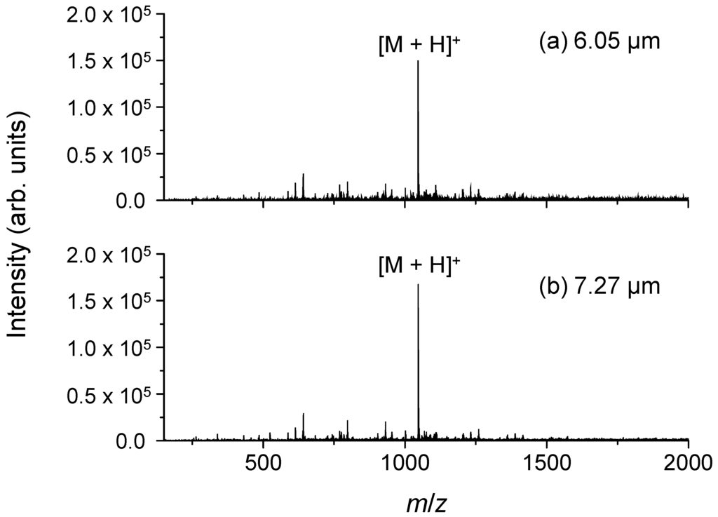 Ijms 15 10821 g001 1024