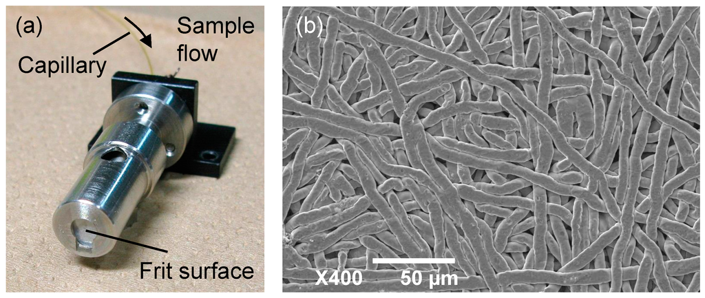 Ijms 15 10821 g008 1024