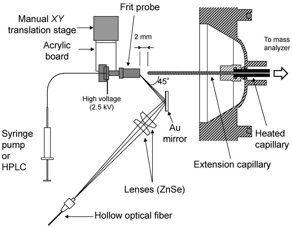 Ijms 15 10821 g009 1024