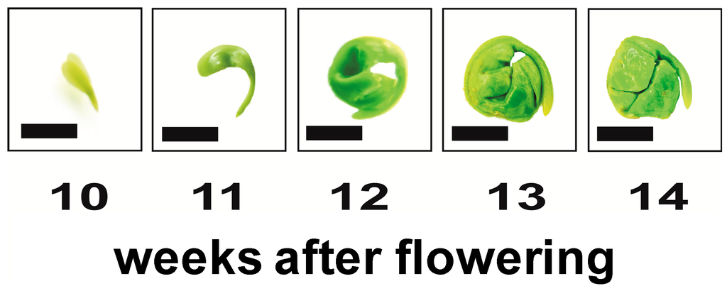 Ijms 15 10868 g001 1024