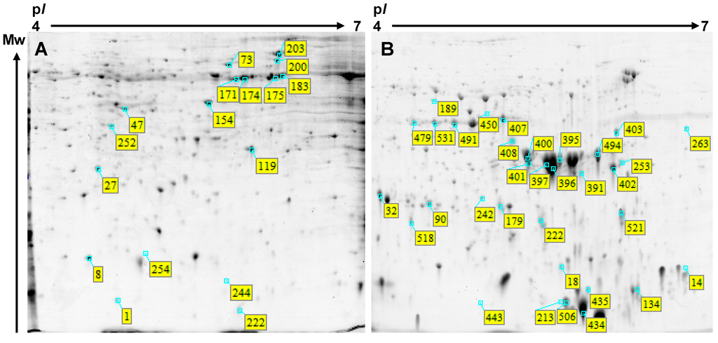 Ijms 15 10868 g003 1024
