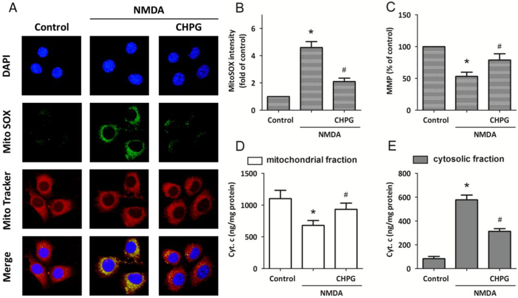 Ijms 15 10892 g003 1024