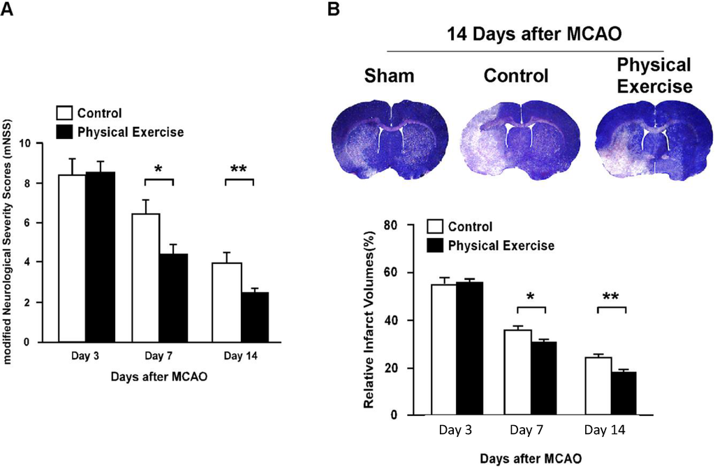 Ijms 15 10974 g001 1024