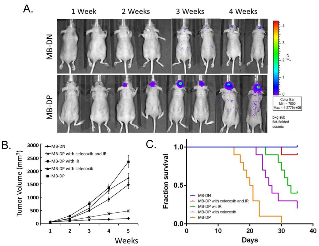 Ijms 15 11013 g006 1024