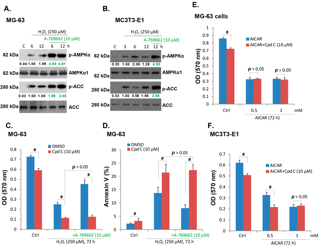 Ijms 15 11190 g003 1024