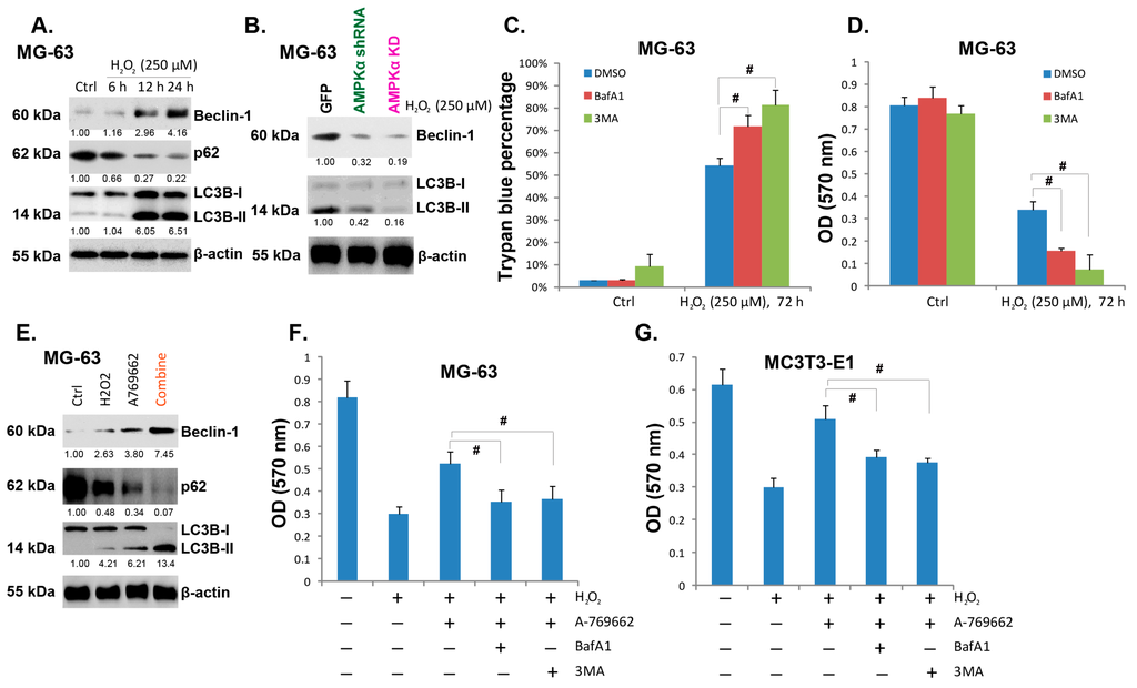 Ijms 15 11190 g005 1024