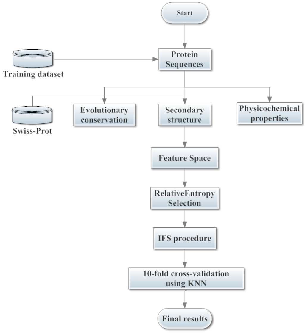 Ijms 15 11204 g006 1024