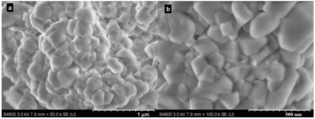 Ijms 15 11350 g002 1024