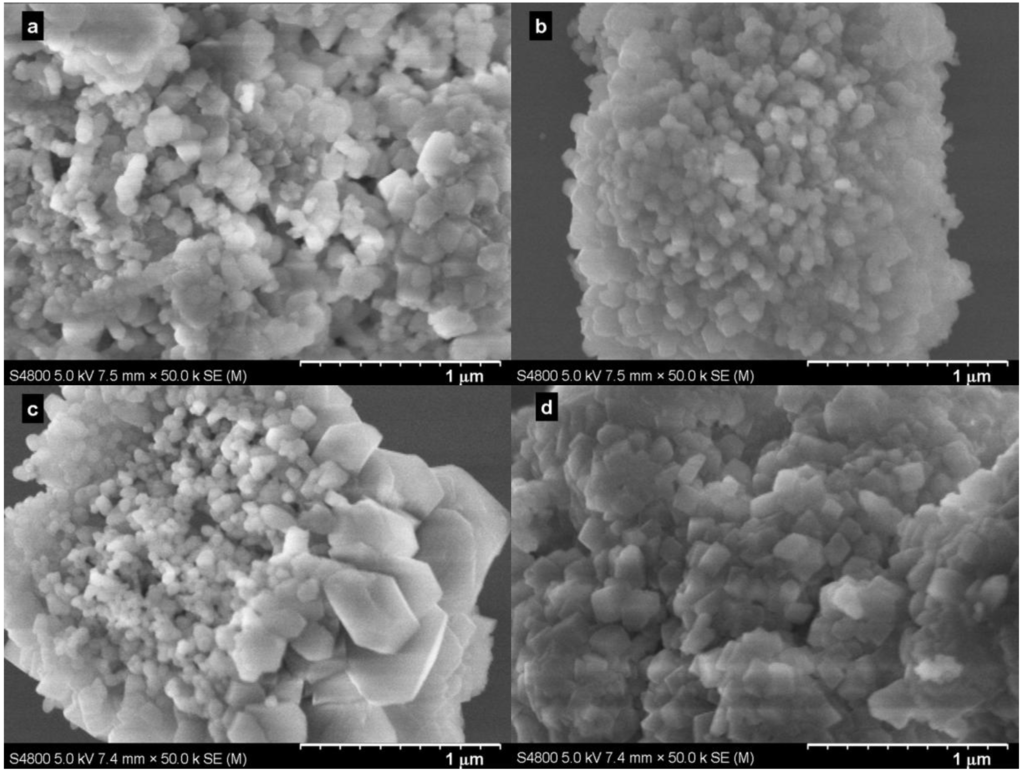 Ijms 15 11350 g004 1024