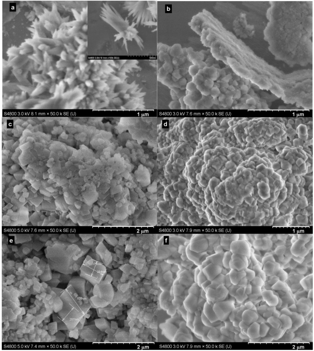 Ijms 15 11350 g006 1024