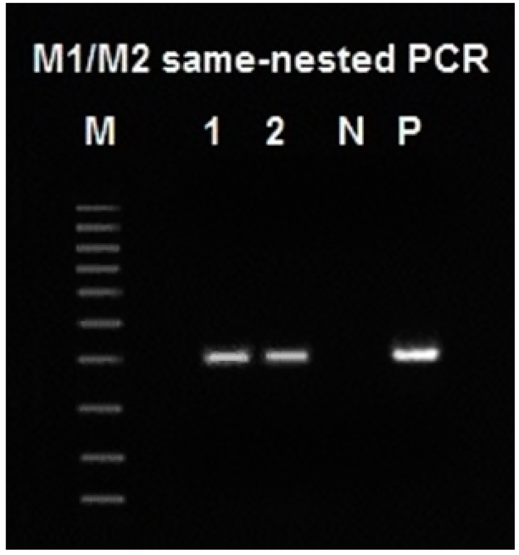 Ijms 15 11364 g001 1024