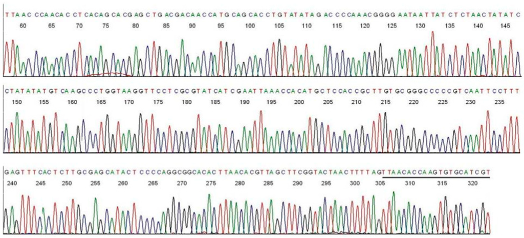 Ijms 15 11364 g003 1024